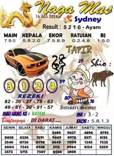 SYAIR SDY VIP